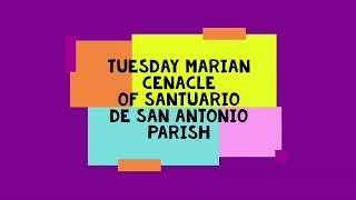Day 2 of Tuesday Marian Cenacle MiniStreams on September 8, 2021