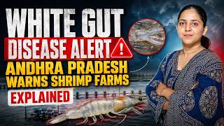 White Gut Disease Alert | Andhra Pradesh Warns Shrimp Farms | Explained | UPSC Current Affairs 2026