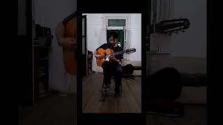 Minor swing - Bireli Lagrene solo