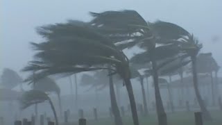 Hashir - Hurricane (Legendado)