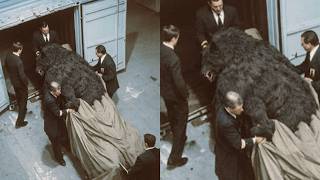 Leaked CCTV Footage Shows Government Agents Transporting a DOGMAN in Secret… What Happened Next…