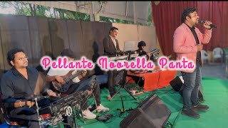 Pellante Noorella panta