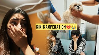 What happened to my dog?😭💔 | Maimoona shah vlogs