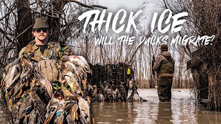 Duck Hunting- HERE Come The NEW DUCKS