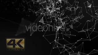 Plexus Tunnel Loop Ver.1