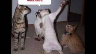 Try not to laugh or smile or grin while watching this video!