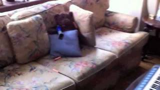 James Nerf - Never say Nerfer.mov