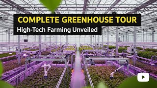 🌱 Complete Tour of a Hi-Tech Greenhouse 🚀 | Modern Farming, Smart Irrigation & High-Yield Crops!