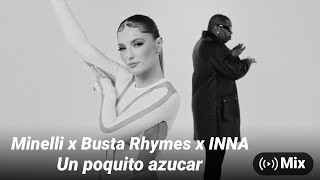 Mix - Minelli x Busta Rhymes x INNA - Un poquito azucar