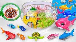 [🐟toy asmr🐢] Zuru Turtle & Baby Shark ＆ Robo Fish Tank Playset ASMR ⭐ Satisfying with Unboxing