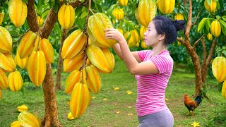 Harvesting A Lots Of Star Fruit Juicy Go To Market Sell,Traditional Braised Star Fruit Fish Recipe