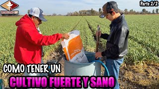 HACIENDO LABOR DE AGRÓNOMO aunque aún no acabo el semestre