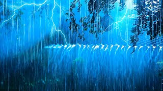 Torrential Rain & Powerful Thunder on a Tin Roof in a Farmer's House in the Forgy Forest at Night