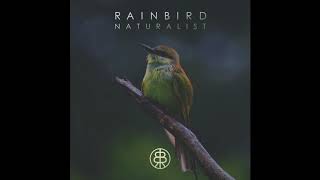 Rainbird - Et Cetera (Original Mix)