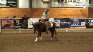David McBurney & Faceit Sheza Digger - NRHA Non Pro Futurity - Oct. 29, 2016
