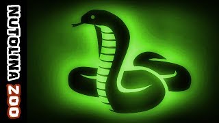 Snake sound / Snake sounds / Animal sounds snake