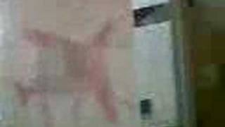 ActionCam for May 02, 2007, 04:41 AM