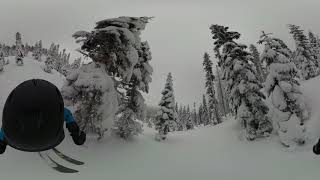 GoPro Fusion @ Northstar Powder Day Jan 18, 2019:  Volume III