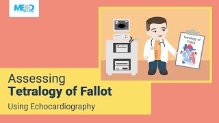 Assessing Tetralogy of Fallot Using Echocardiography