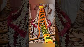 પાર્શ્વનાથ દાદા નું 2800 મોક્ષ કલ્યાણક નિમિતે રથયાત્રા