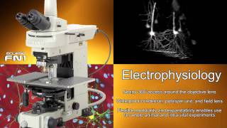 Nikon Eclipse FN1 Fixed Stage Microscope