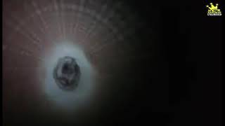 3D HORROR ROLLER COASTER