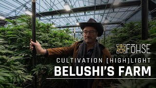 Belushi's Farm | “If You're Going To Go BIG, Go FOHSE!" | Cultivation Highlight