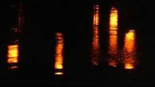 Hummingbird Song (Tom McRae Song)