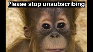 Please stop unsubscribing 🦧