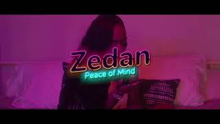 ZEDAN BTS (PEACE OF MIND) Setting up his VIDEO SHOOT