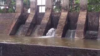 ANICUT IN PALUGAMUWA