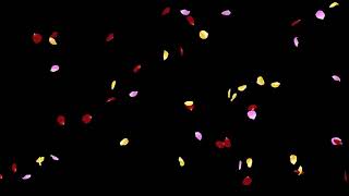 Falling Rose Petals Mix HD Animation