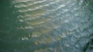 wind light SURFace