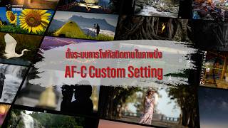 73 AF C Custom Setting