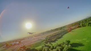 Float like a butterfly and sting like a Stingray