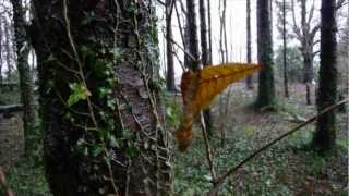 Iain Morrison - Sleep. Fly. Wake.
