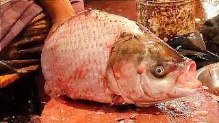 Catla Carp Fish Cutting Skills/ Amazing Fish Cutting Skills 2023