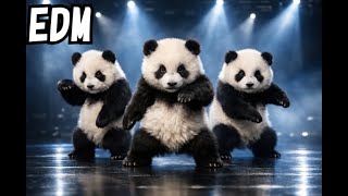 Cute Pandas Go Hard 🐼💥 | Energetic EDM Dance Performance