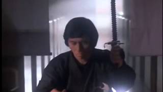 Revenge of The Ninja: Enter The Black Ninja