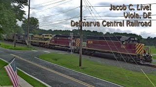 Viola Delaware, RailCam LIVE