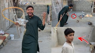 10 Din Se Rulata Hua Kabutar pkda 🪽 #birdnursing #pigeon #pigeons 