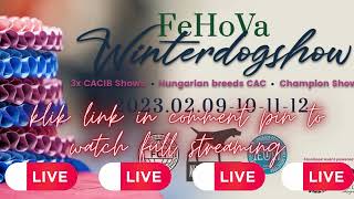 Live🛑⊵FeHoVa Winterdogshow 2023 ➤ 9 - 13 February 2023 LiveStream?!