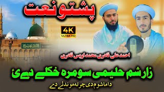 Zar sham halimi pashto New HD Naat shareef by Muhammad Awais Qadri and Ahmad Ali Qadri