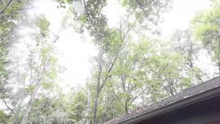 SmokeyTree Huddleston Virginia Smith Mountain Lake