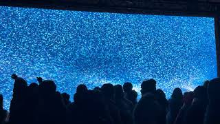 Ottomata - "Tetra"-2 / Canada