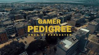 GAMER YN - PEDIGREE (OFFICIAL VIDEO)