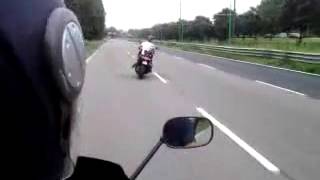 t max impennata zama