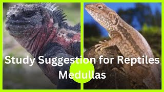 study suggestion for reptiles medullas