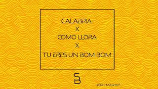 ZIGGY X Chick Flix - Calabria x Como Llora x Tu Eres Un Bom Bom (Samuele Brignoccolo Mashup)