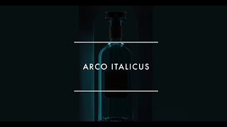 Art of ITALICUS 2023 - Anno Domini VII